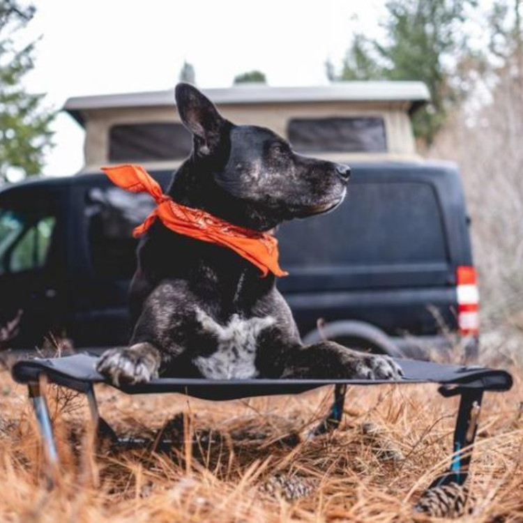 Helinox Elevated Dog Cot – Medium